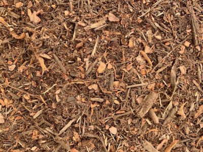 GA_0000_mulch